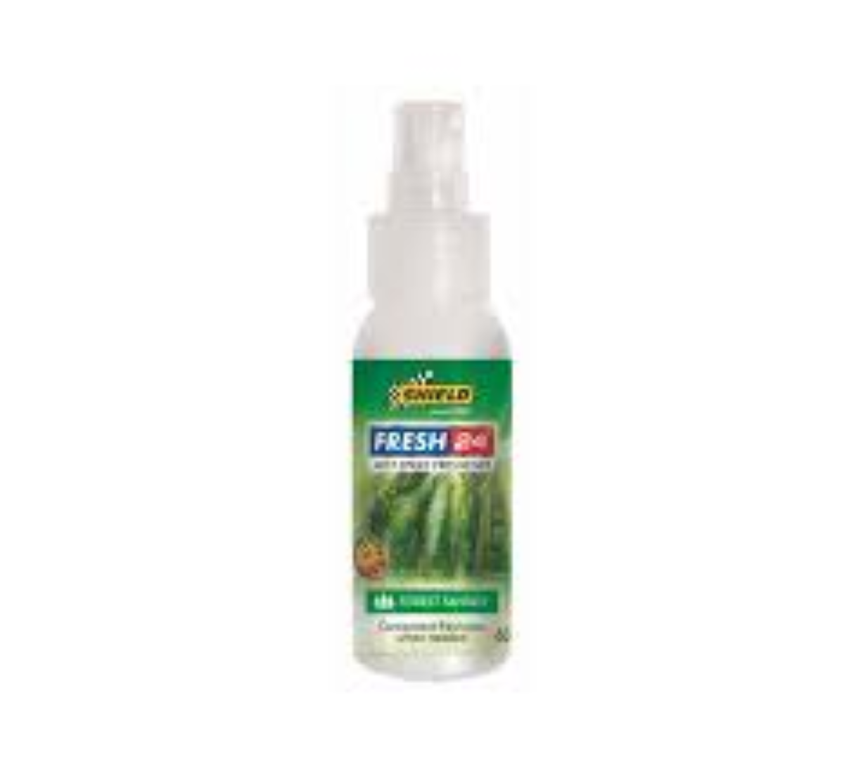 AIR FRESHNER F24 SPRAY FOREST FANTASY